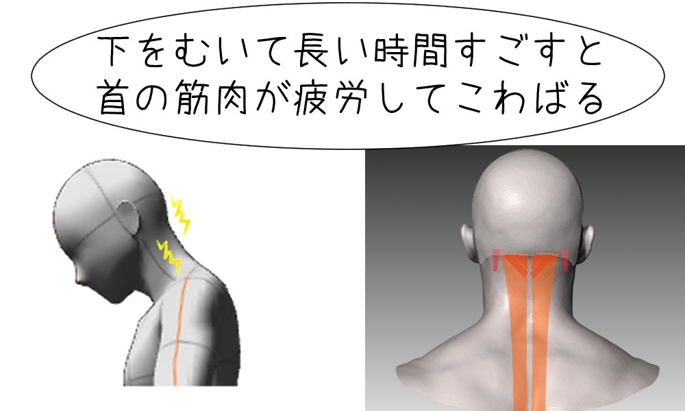 頚部前屈時の首の緊張