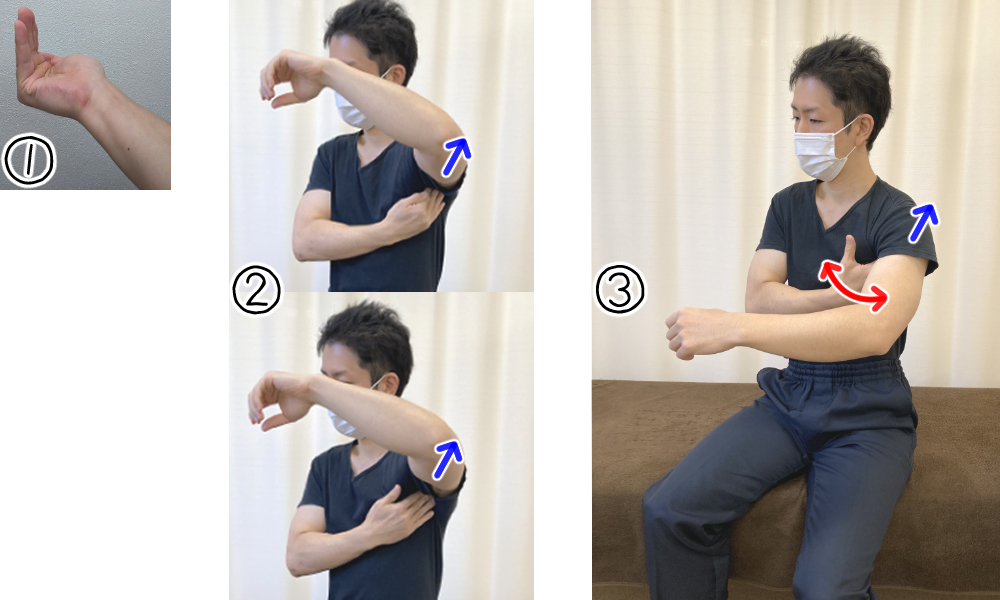肩甲骨と上腕の筋肉の治療法